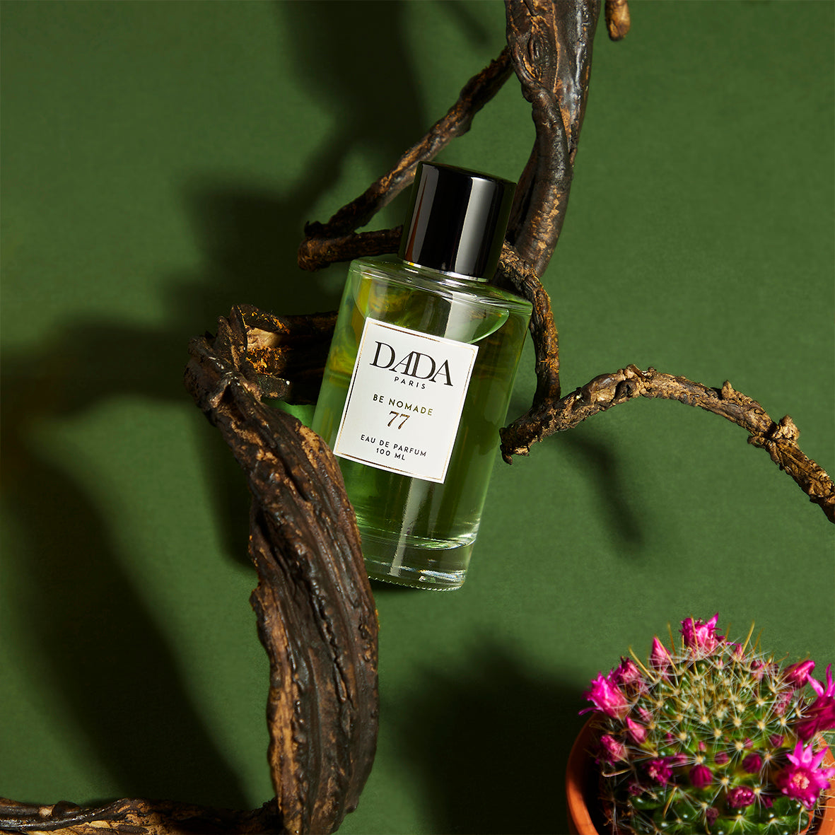 Be Nomade N°77